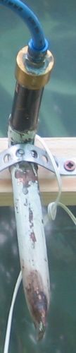 [Bild(19.5k)]