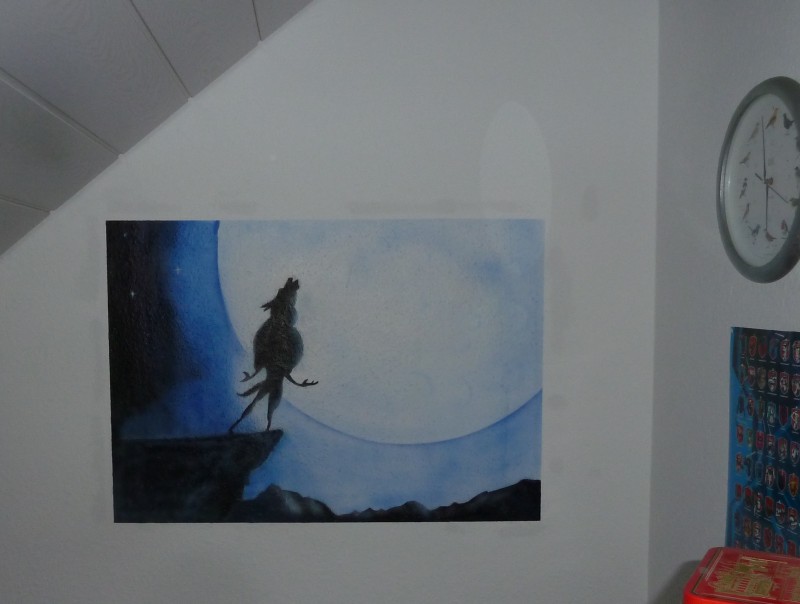 [Bild(56.5k)]